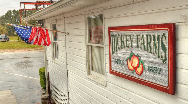 The North American Free Trade Agreement has been good for some Georgia farmers, especially in the poultry industry. But the head of Dickey Farms in Musella says the trade pact could use some tweaks. For example, Mexico bars the import of peaches like those grown at Dickey Farms. (Photo Chris Hunt/Special)