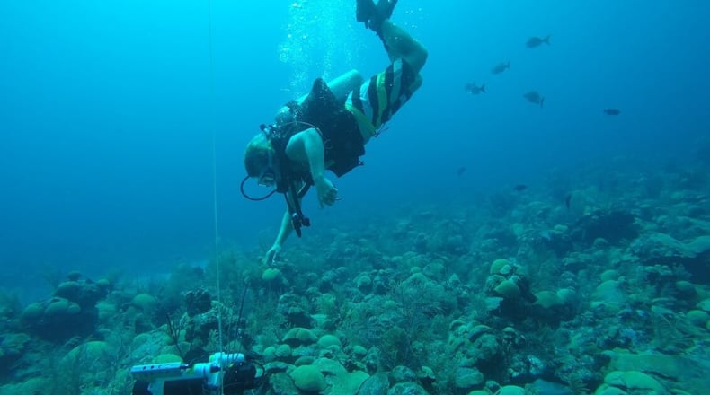 Georgia Southern University professor Tyler Cyronak is studying the potential for seagrass to soak up and store larger amounts of carbon dioxide. (Courtesy of Andreas Andersson)