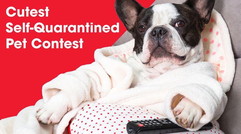 Photo courtesy of the Atlanta Humane Society