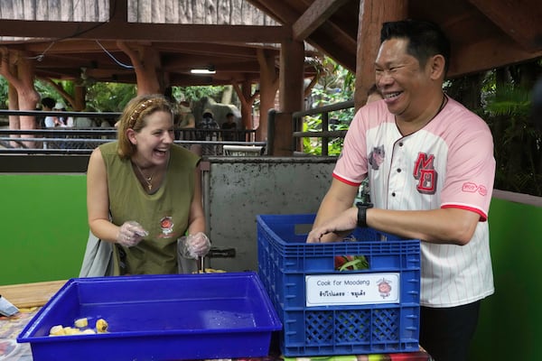 Khao Kheow Open Zoo Director Narongwit Chodchoy C hodchoy, right, and Molly Swindall, a visitor from New York, prepare food for hippo Moo Deng, which turned one year old, at the Khao Kheow Open Zoo in Chonburi province, Thailand, Thursday, July 10, 2025. (AP Photo/Sakchai Lalit)