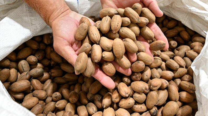 When Donald Trump raised tariffs in 2018 and 2019, the Chinese retaliated, slapping higher tariffs on pecans and other prime Georgia farm exports. (Hyosub Shin / Hyosub.Shin@ajc.com)