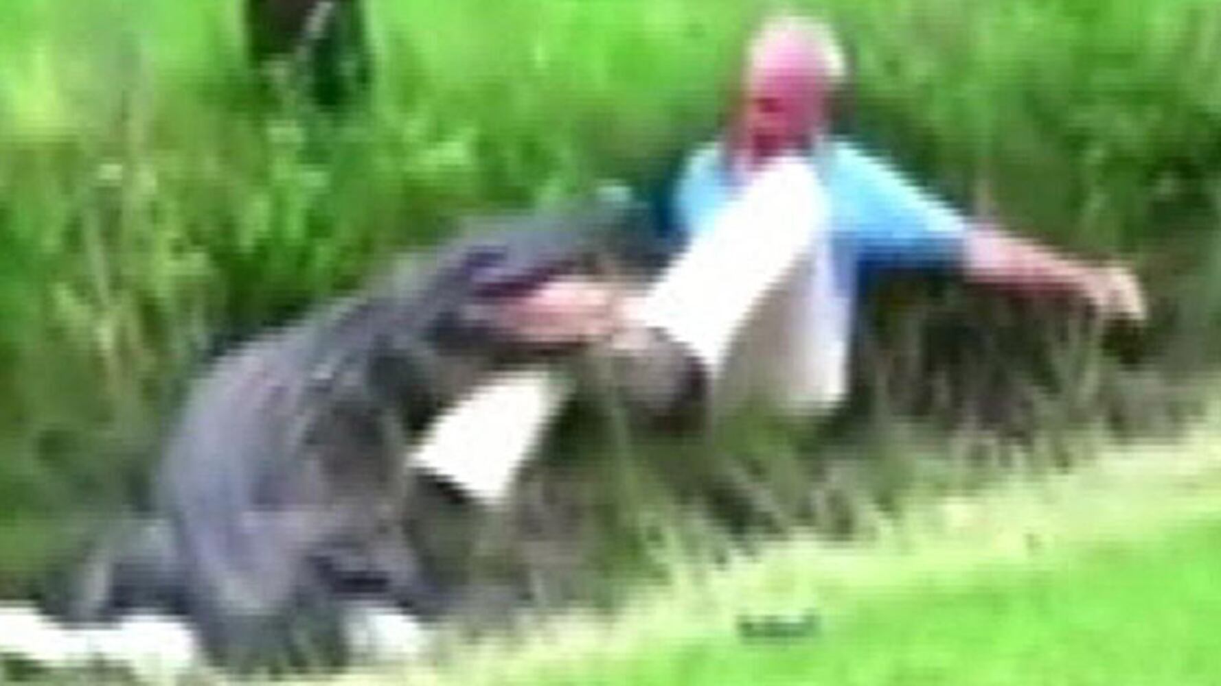 Gator and scientist