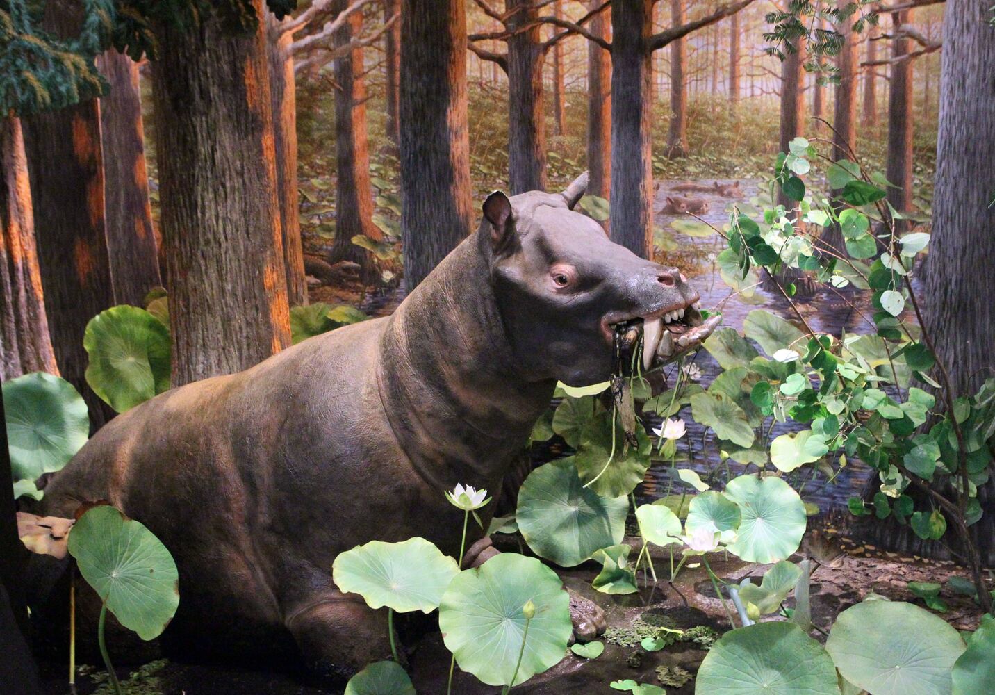 'Extreme Mammals' exhibit at Fernbank Museum