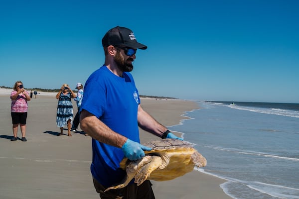 In this image released by the Wonders of Wildlife National Museum Aquarium, Johnny Morris of the Sea Turtle Center in Springfield, Mo., 19 loggerhead and Kemp's ridley turtles that had been rehabilitating since December, Wednesday, March 26, 2025, off Jacksonville, Fla. (Johnny Morris/Wonders of Wildlife National Museum Aquarium via AP)
