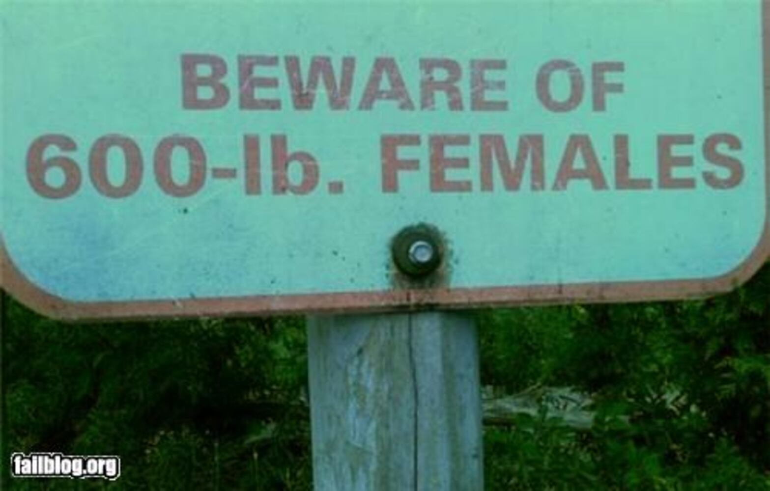Funny signs