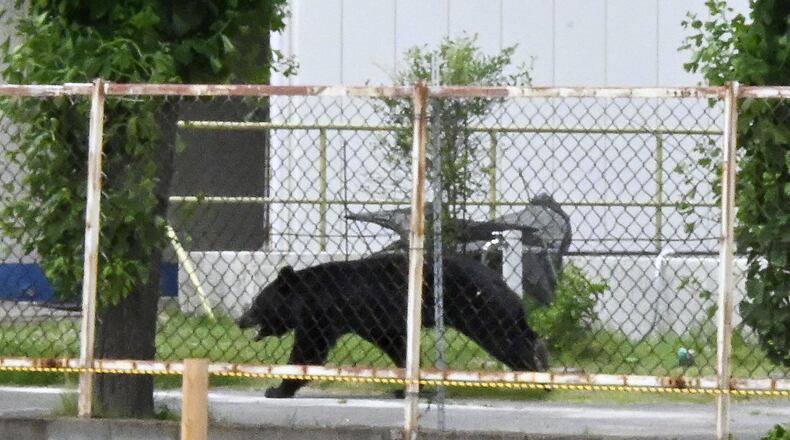 A bear walks on the premises of an office in Fukushima, Japan, Tuesday, June 2, 2026. (Kyodo News via AP)