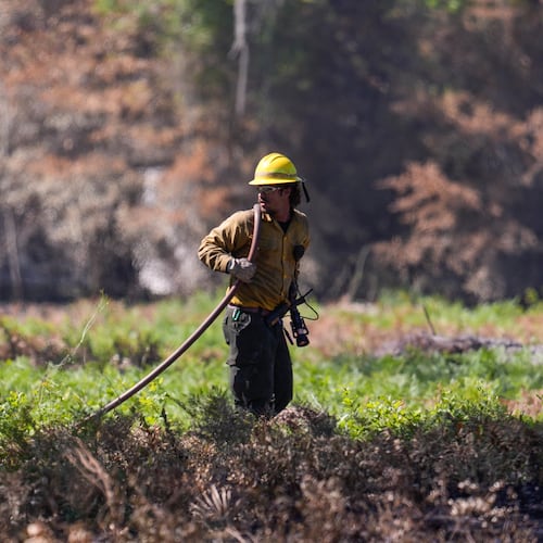 A firefighter works the Brantley Highway 82 fire, Thursday, April 23, 2026, near Nahunta, Ga. (AP Photo/Mike Stewart)