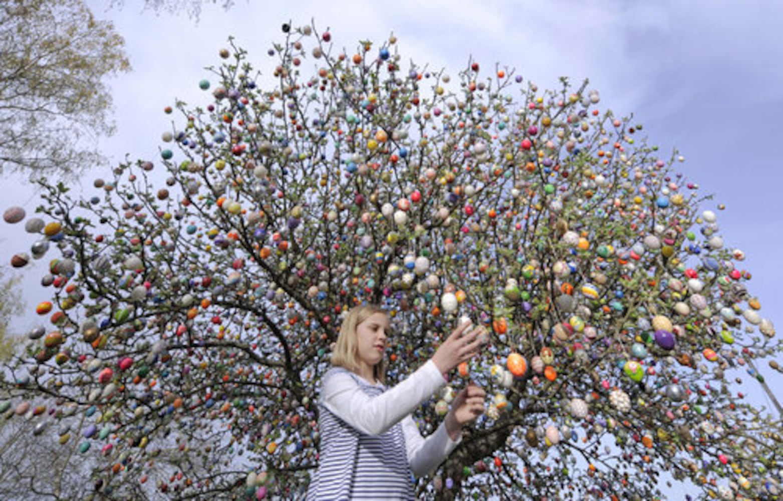 Easter egg tree in Germany