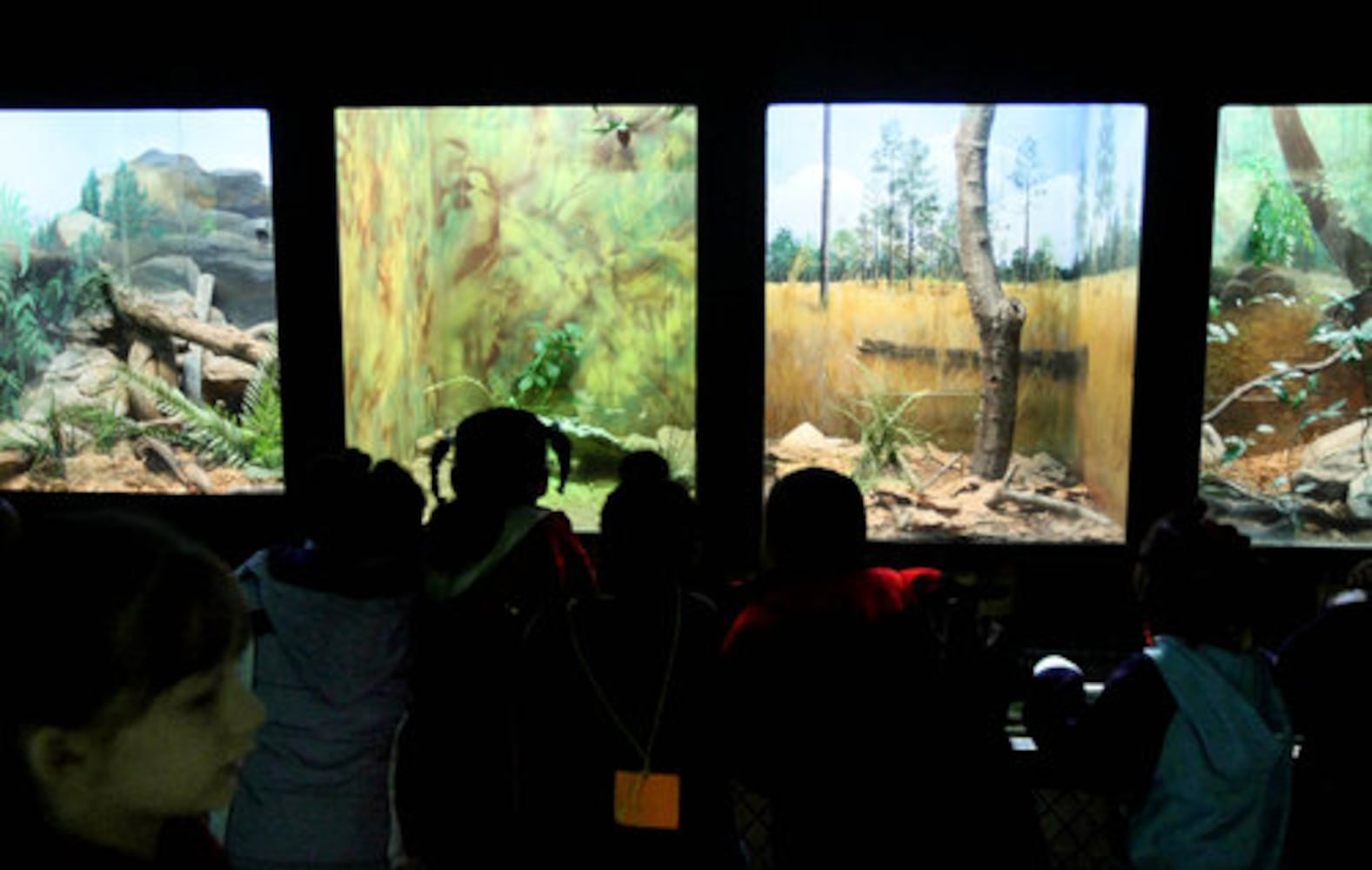 Zoo plans new reptile exhibit