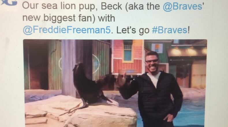 Batter pup! Beck the sea lion pup and Atlanta Braves all-star first baseman Freddie Freeman tomahawk-chopped together at the Georgia Aquarium this week. Twitter/Georgia Aquarium