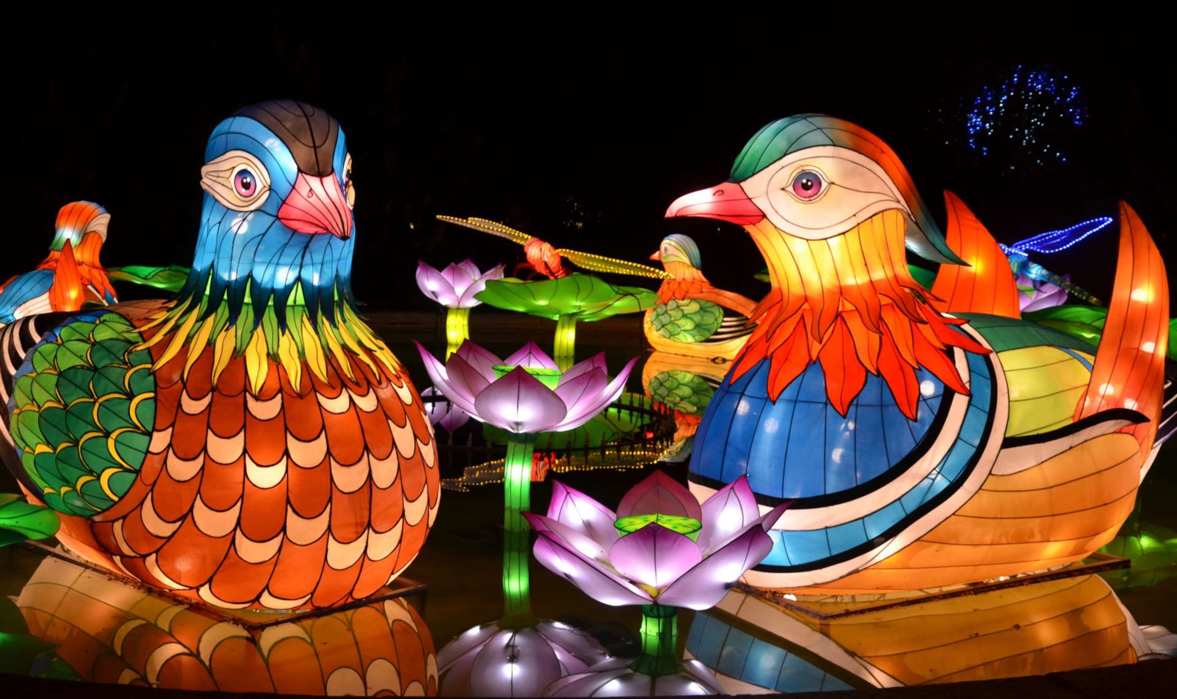 Visit Zoo Atlanta at night to see more than 80 spectacular illuminated animal lanterns at IllumiNights, which runs through Jan. 18. (Courtesy of Zoo Atlanta)