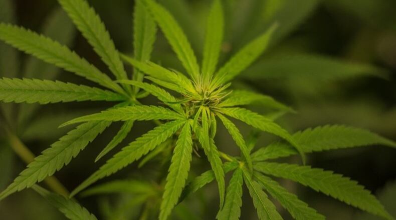 Forest Park in Clayton County has joined several other cities in metro Atlanta that have reduced fines and eliminated jail time for possession of an ounce or less of marijuana. The drug, however, remains illegal.