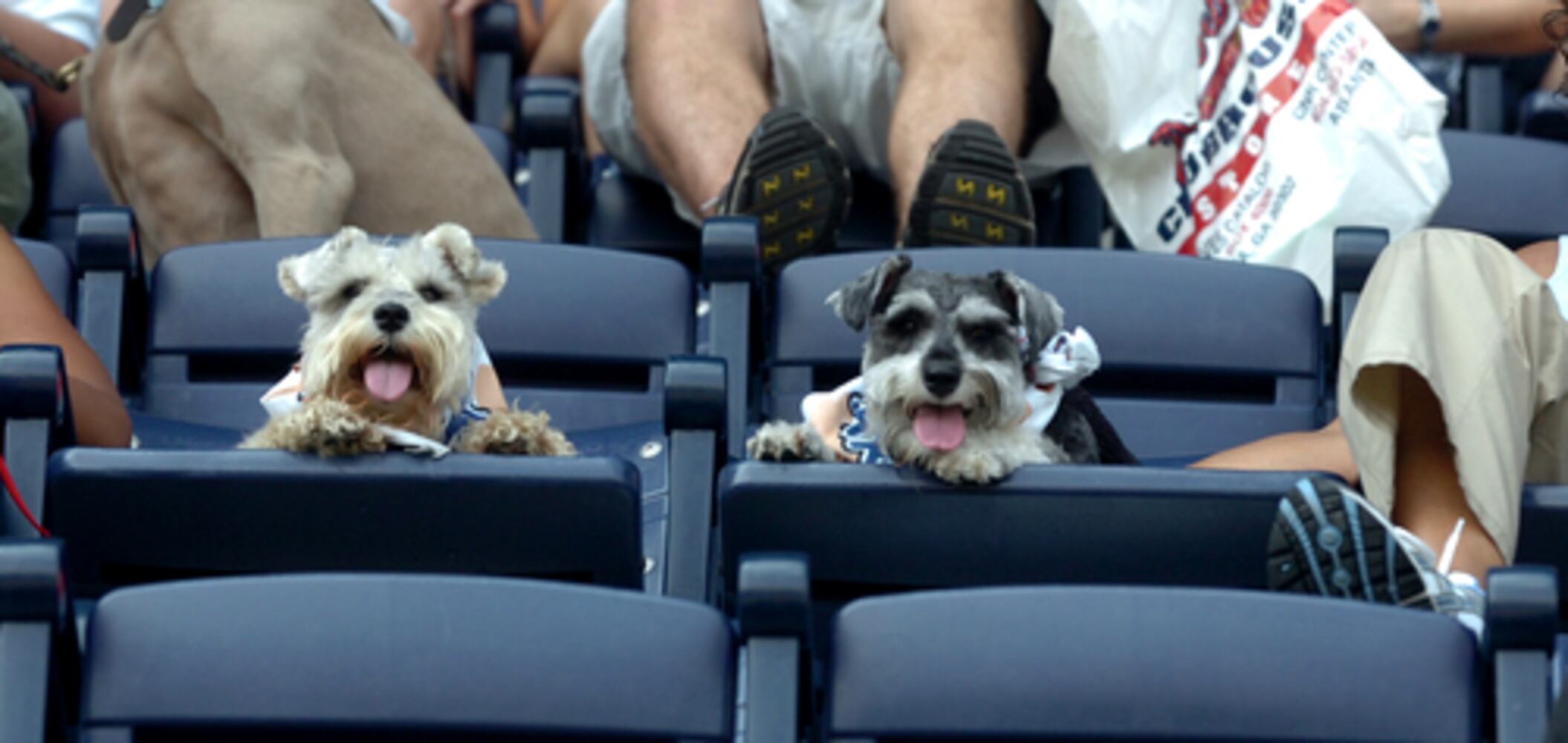Atlanta Braves 2007 Season in Review