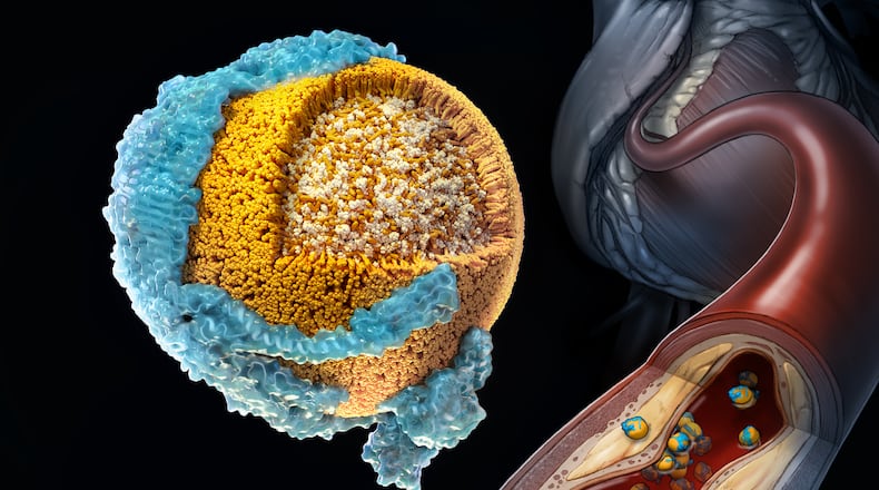 National Institutes of Health scientists have made a significant breakthrough in understanding how "bad" cholesterol, known as low-density lipoprotein-cholesterol or LDL-C, builds up in the body. The researchers were able to show for the first time how the main structural protein of LDL binds to its receptor – a process that starts the clearing of LDL from the blood – and what happens when that process gets impaired. (Courtesy)