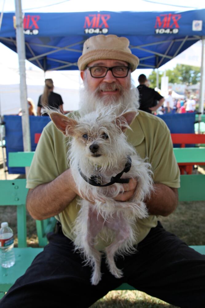 Contestants from the 2013 World's Ugliest Dog contest