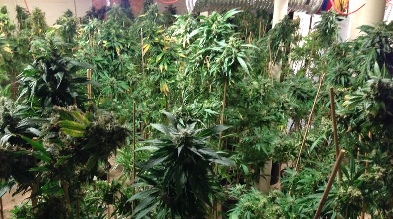 Georgia arrested more people for marijuana possession and related offenses than most other states in a study by 24/7 Wall St.