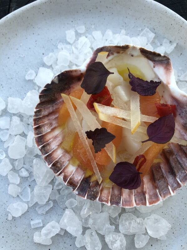 Scallop Crudo with Cara Cara Orange from Lapeer. CONTRIBUTED BY LAPEER SEAFOOD MARKET