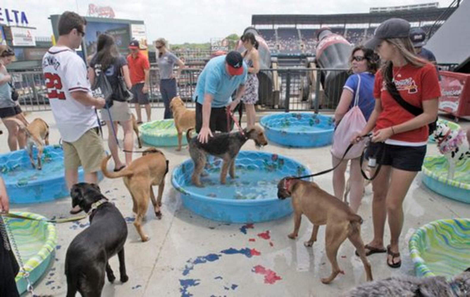Dog days already? Bark in the Park at Turner Field