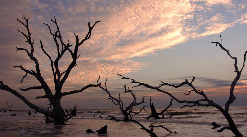 A short ferry ride from Awendaw, S.C., can take you to Bulls Island, home to Boneyard Beach. (Coastal Expeditions Bulls Island)