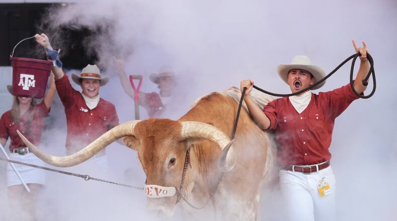 Texas mascot BEVO is lead on to the field before an NCAA college football game between Texas and Ohio State in Austin, Texas, Saturday, Sept. 12, 2026. (AP Photo/Eric Gay)