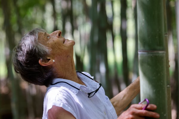 Daphne Lewis, 85, says she got hooked on bamboo after reading it was at once a food — its shoots are considered a vegetable — and also a building material, not to mention a carbon dioxide-guzzling evergreen. (Arvin Temkar/AJC)