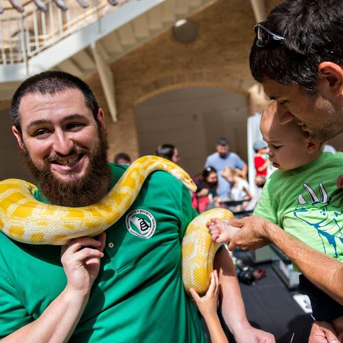 Have encounters with snakes and other animals during Reptile Day at Fernbank on Saturday. (Courtesy of Fernbank)