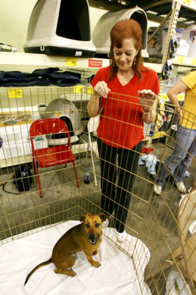 Economy's bad on pets, too