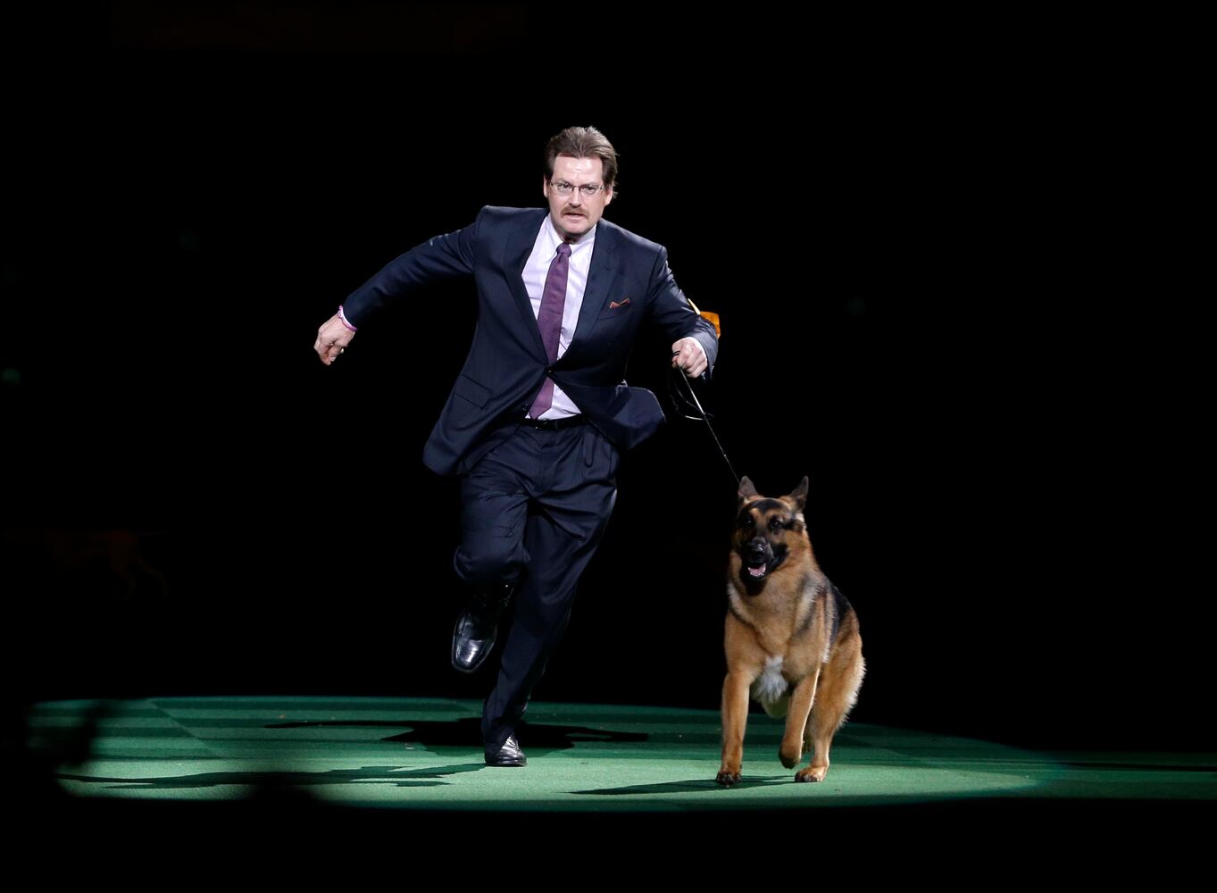 140th Westminster Kennel Club Dog Show
