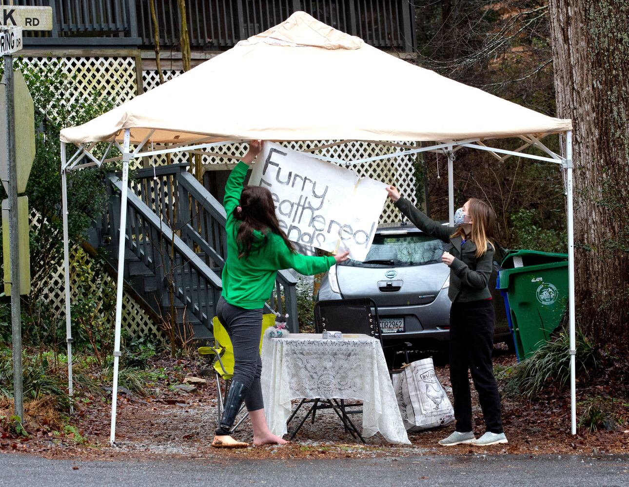 Socially Distanced Pine Lake Artists' Pop-up