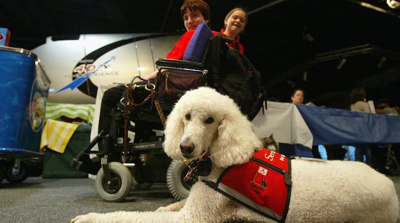 Publix's new service animal policy states that service dogs must not ride in shopping carts inside stores.