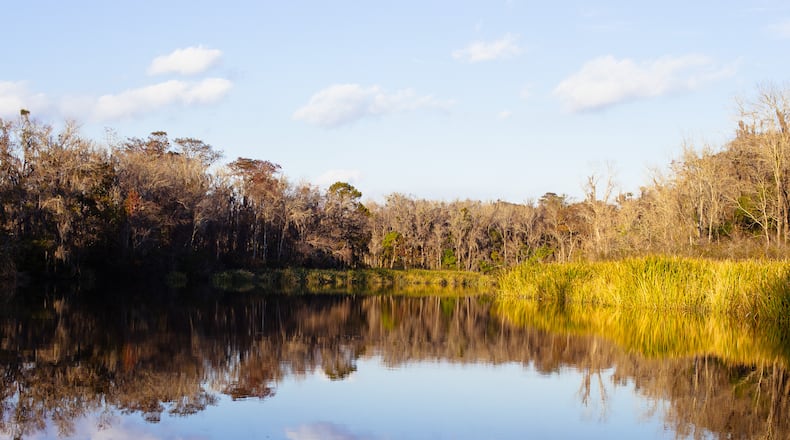 Nature lovers can find a plethora of opportunities inside the state with expansive hiking and biking trails through mountain ranges, beautiful beaches, marshlands and swamps, such as the Okefenokee Swamp (above), which provides unique habitats for a variety of plant and animal species. File.
