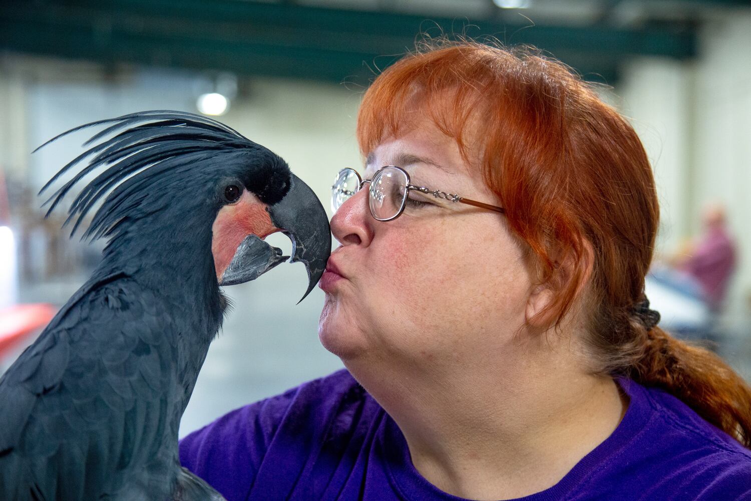 PHOTOS: SA Exotic birds