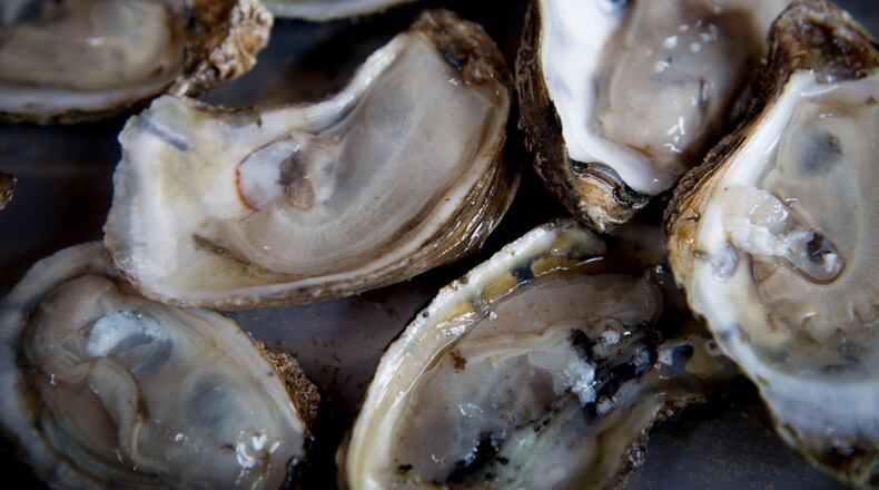 Shucked oysters will be abundant at the Atlanta Oyster Festival at Park Tavern in Atlanta. STEVE SCHAEFER / SPECIAL TO THE AJC