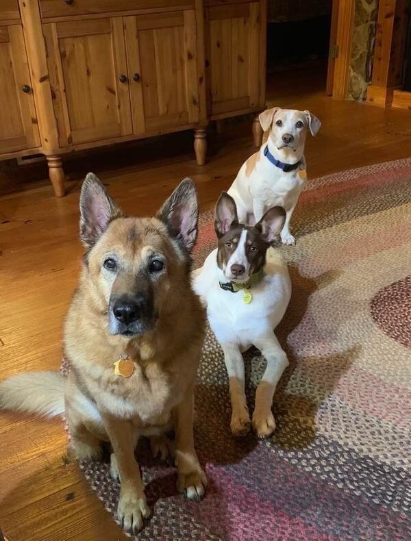 "My brothers’ dogs waiting patiently and expectantly for leftovers from dinner.  It had a lot to do with bacon.  My sister-in-law snapped the picture," wrote Louise Conti of Roswell.