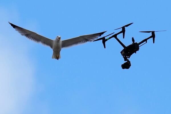 A drone used for TV broadcast is attacked by a seagull above St. Peter's Square where 133 cardinals are gathering on the second day of the conclave to elect successor of late Pope Francis, at the Vatican, Thursday, May 8, 2025. (AP Photo/Gregorio Borgia)