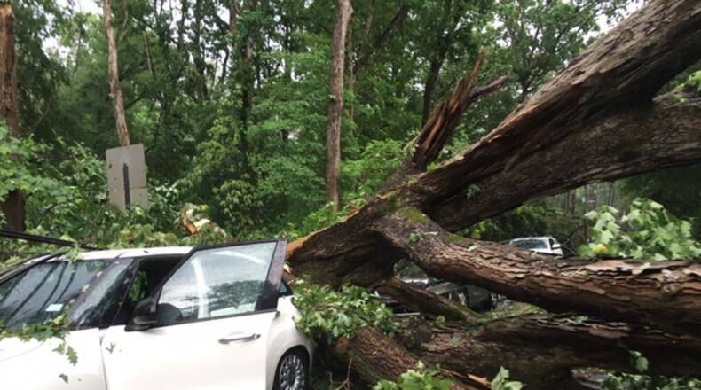 A man walked away Sunday morning after a large tree fell on his car while he was inside it, according to Channel 2 Action News.