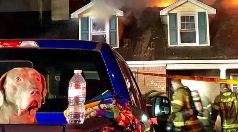 Sammy started barking when a fire started, allowing her family to escape the flames. (Savannah Fire Rescue)