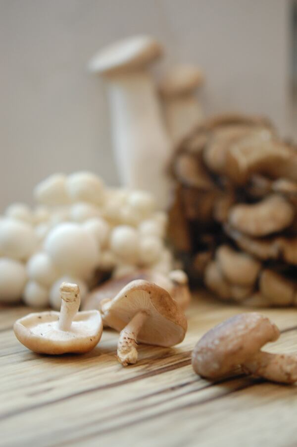 A variety of mushrooms are popular in coffee drinks. (Meridith Ford for The Atlanta Journal-Constitution)