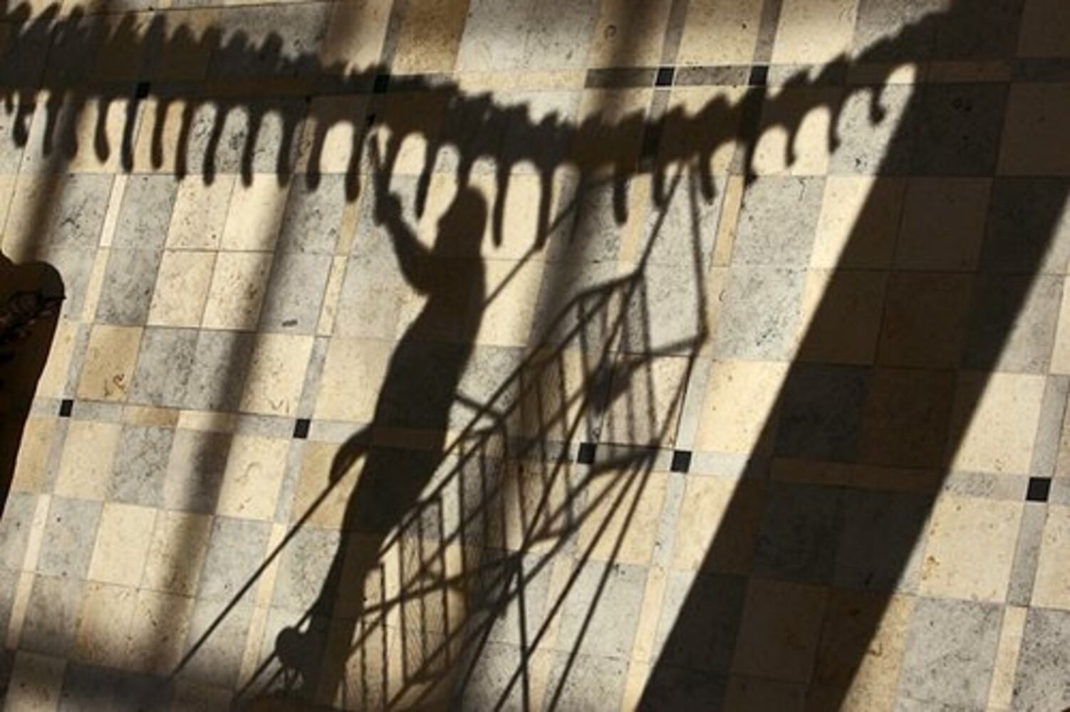 Atlanta dinosaurs get all cleaned up