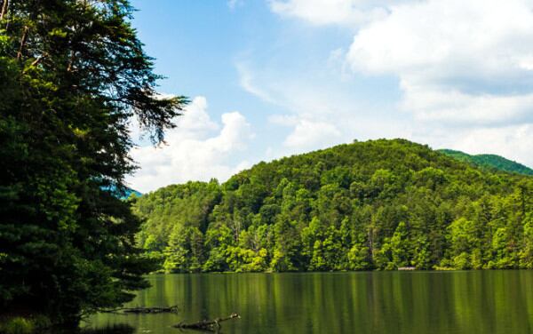 Unicoi State Park