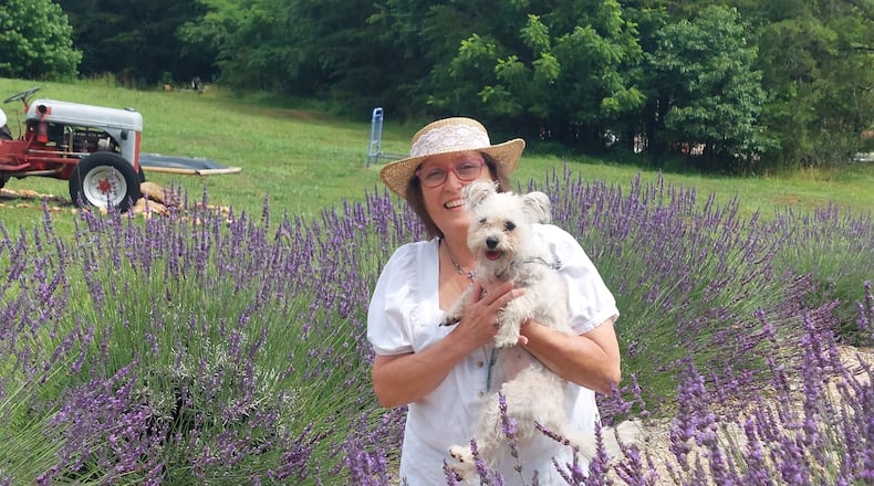 Susan Lamb and her dog Izzy are seen amid a stand of fragrant lavender blossoms. (Courtesy of Lavender Lamb Farm)