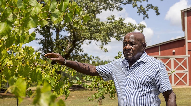 Carl Ware, once a senior executive at the Coca-Cola Company, surveys his wine grapes at his property in Newnan. (Alyssa Pointer/alyssa.pointer@ajc.com)