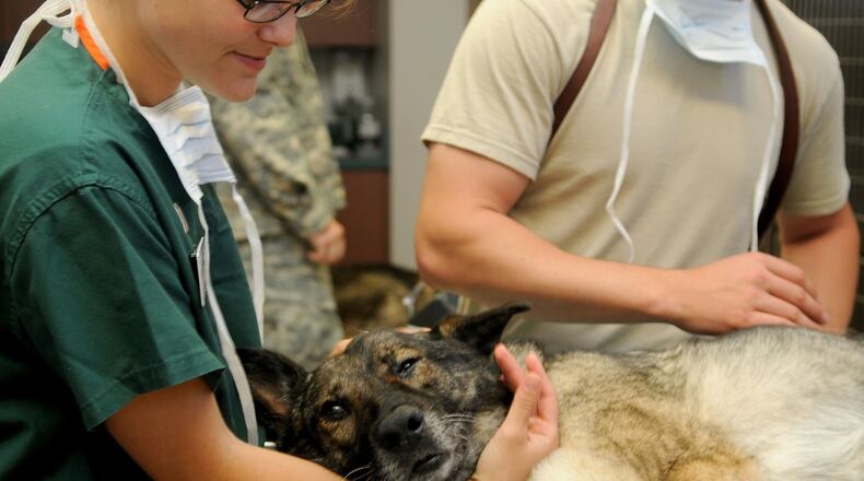 Suwanee recently approved a special use permit to allow for a veterinary clinic in the The Shoppes of Olde Towne at 425 Buford Highway. COURTESY PIXABAY