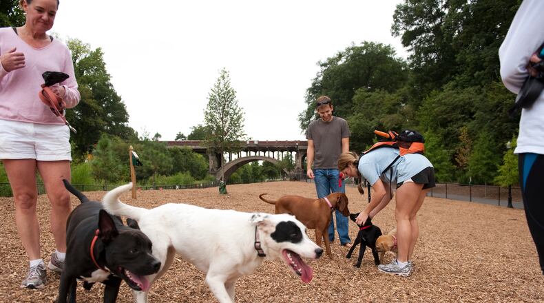 Located in Midtown, Piedmont Park is just one of many off-leash dog parks found throughout the Atlanta metro area.