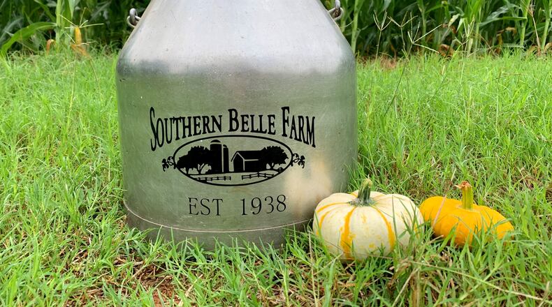 Southern Belle Farm's activity admission includes access to their 4-acre corn maze, pumpkin patch, cow train ride, slides, jumping pillow and more. 
Courtesy of Meghan Threadgill/Southern Belle Farm