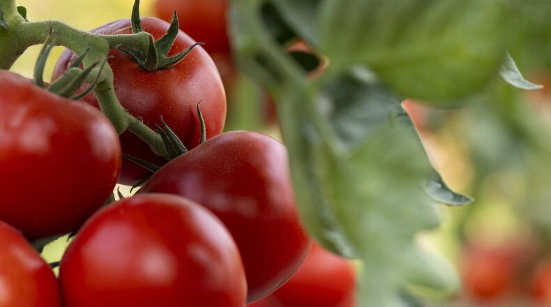 Alpharetta wants residents to share information on their food choices and lifestyle habits around healthy eating in an online survey. (Dreamstime/TNS)