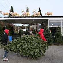 Crew members prepare and pack online orders at Tradition Trees’ Chamblee lot in Atlanta, Dec. 4, 2024. The company is known for offering freshly cut, well-hydrated trees throughout the season. (Hyosub Shin/AJC)
