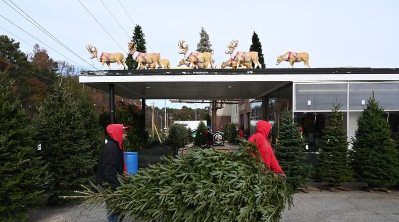 Crew members prepare and pack online orders at Tradition Trees’ Chamblee lot in Atlanta, Dec. 4, 2024. The company is known for offering freshly cut, well-hydrated trees throughout the season. (Hyosub Shin/AJC)