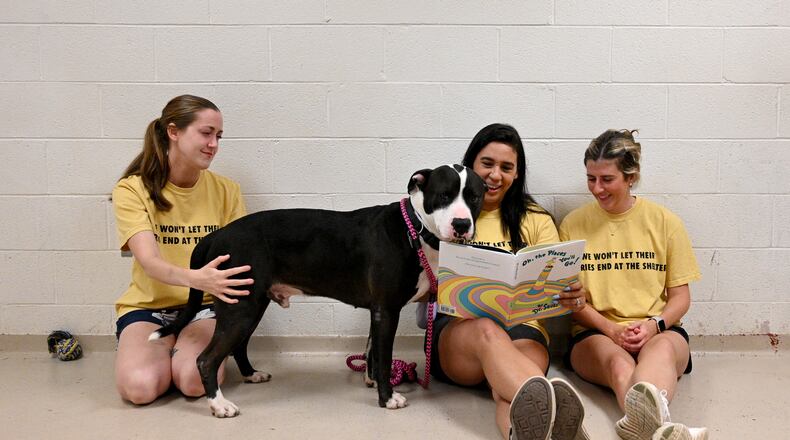Leslie Moffett (center) reads a book to shelter dog Claus with other volunteers Brianne Cate (left) and Camille Lillie (right) wearing matching t-shirts that say, "We won't let their stories end at the shelter," at Cobb County Animal Services, Saturday, May 20, 2023, in Marietta. They found that reading to the dogs can help rehabilitate them, especially in a chaotic shelter environment. (Hyosub Shin / Hyosub.Shin@ajc.com)
