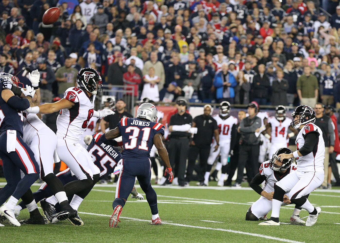 falcons